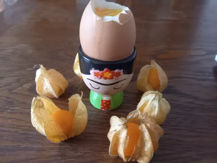 FRUITS ET LEGUMES 🍎