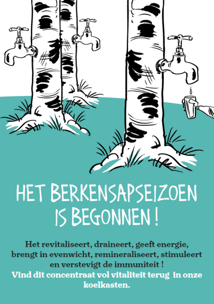 🌿 Berkensapkuur: zuiver je lichaam op natuurlijke wijze!
