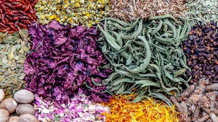 PRENDRE SOIN DE SOI AU NATUREL @ FÄRM.MONT-SAINT-JEAN