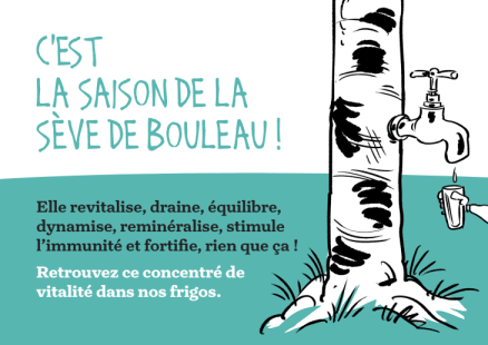 CURE DE SEVE DE BOULEAU