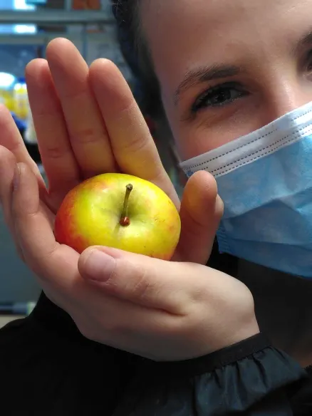 Copy - VISITEUR 😎