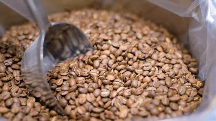 LE CAFÉ DE SPÉCIALITÉ