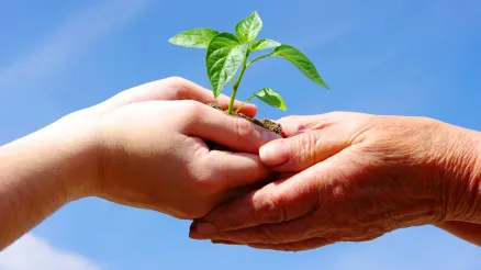 DUURZAAM, ZOVEEL MEER DAN GROEN 🍃