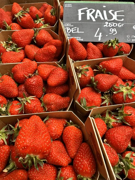 Vous les attendiez, elles sont là! 😍