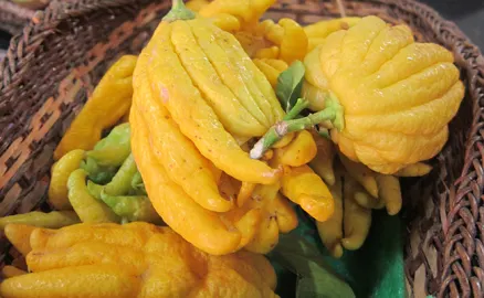 Fruits et légumes 🍊